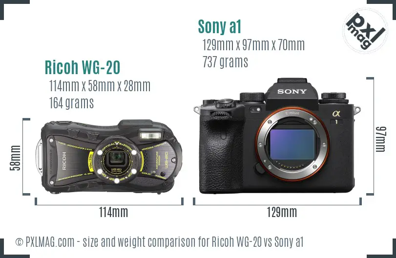 Ricoh WG-20 vs Sony a1 size comparison