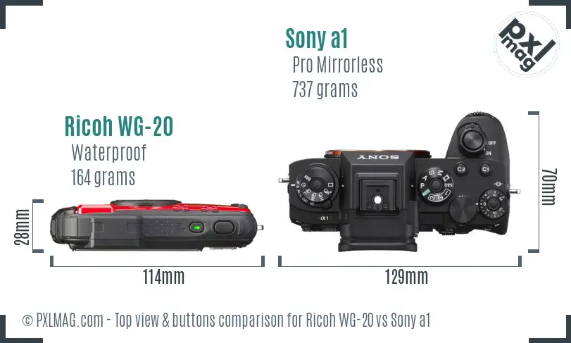 Ricoh WG-20 vs Sony a1 top view buttons comparison