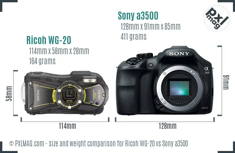 Ricoh WG-20 vs Sony a3500 size comparison