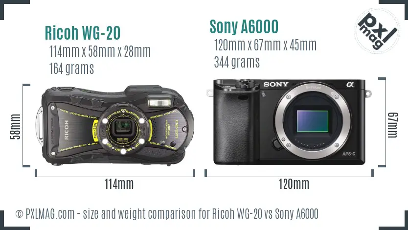 Ricoh WG-20 vs Sony A6000 size comparison