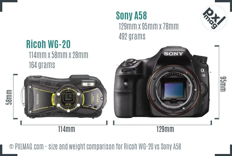 Ricoh WG-20 vs Sony A58 size comparison