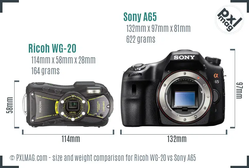 Ricoh WG-20 vs Sony A65 size comparison