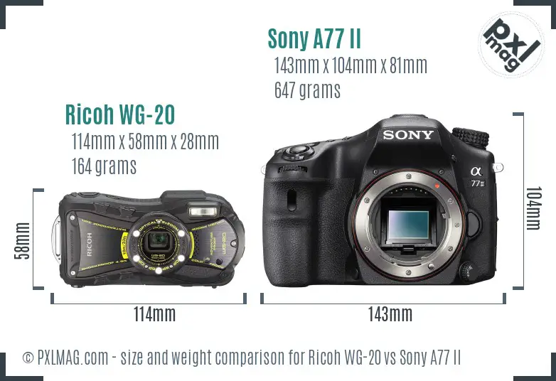 Ricoh WG-20 vs Sony A77 II size comparison