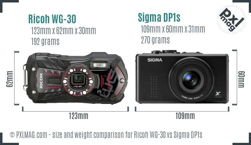 Ricoh WG-30 vs Sigma DP1s size comparison
