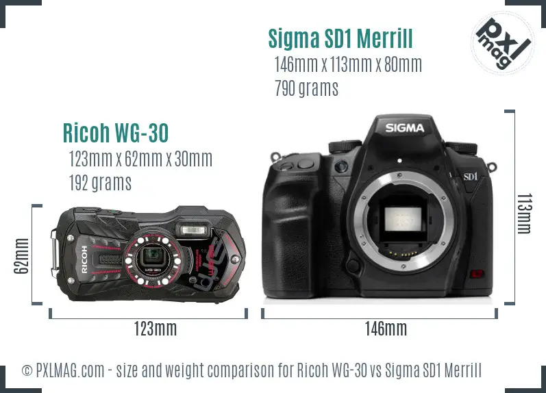 Ricoh WG-30 vs Sigma SD1 Merrill size comparison