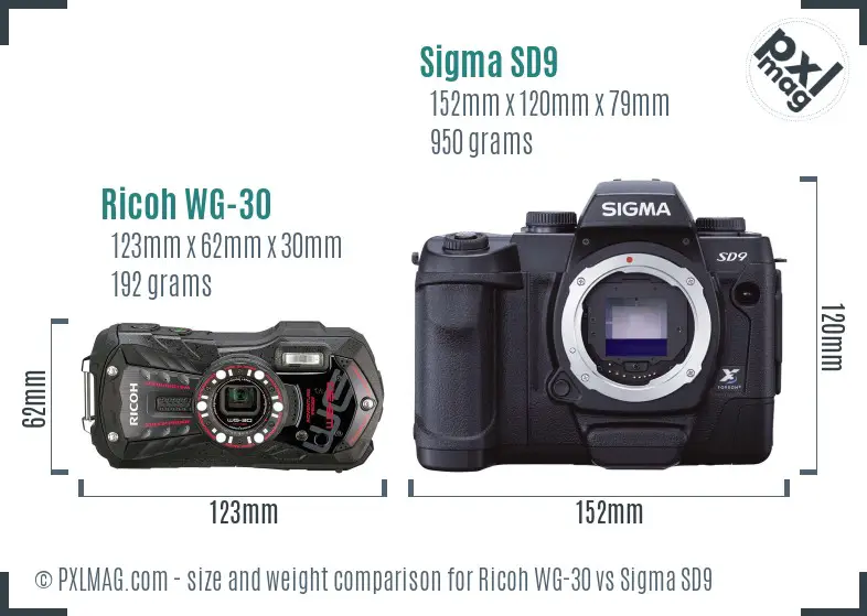 Ricoh WG-30 vs Sigma SD9 size comparison