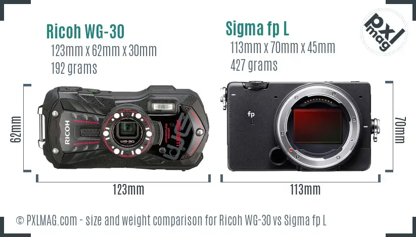 Ricoh WG-30 vs Sigma fp L size comparison