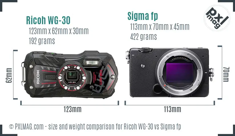Ricoh WG-30 vs Sigma fp size comparison