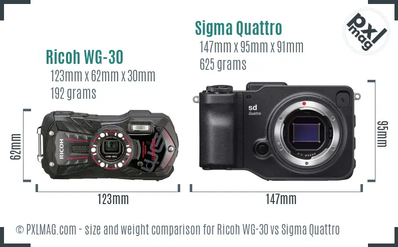 Ricoh WG-30 vs Sigma Quattro size comparison