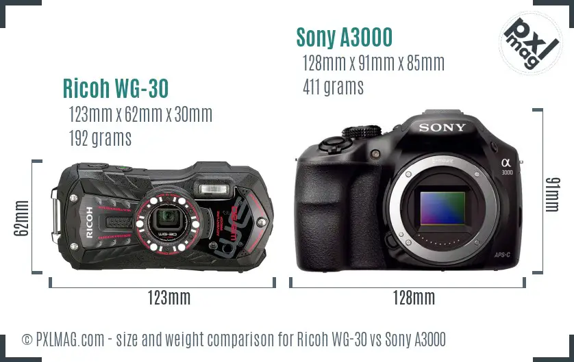 Ricoh WG-30 vs Sony A3000 size comparison