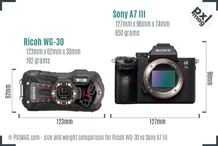 Ricoh WG-30 vs Sony A7 III size comparison
