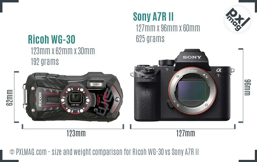 Ricoh WG-30 vs Sony A7R II size comparison