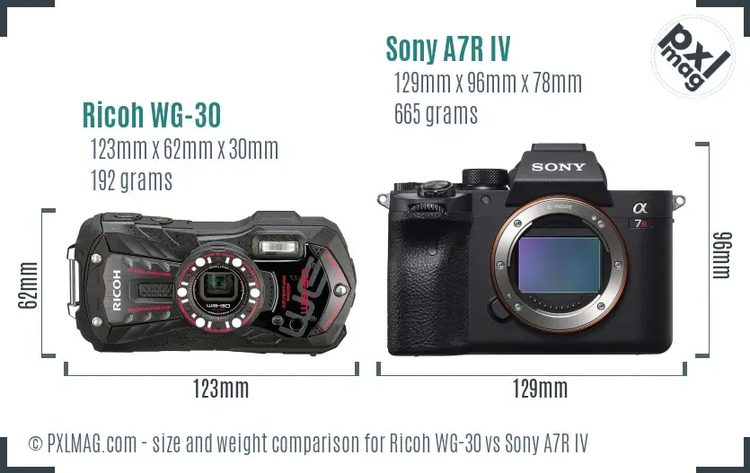 Ricoh WG-30 vs Sony A7R IV size comparison