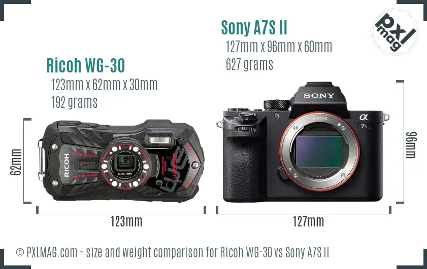 Ricoh WG-30 vs Sony A7S II size comparison