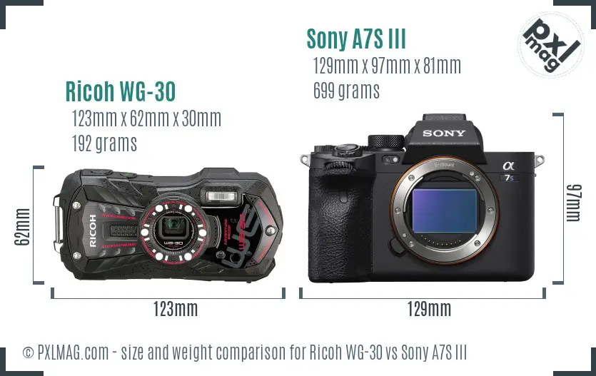 Ricoh WG-30 vs Sony A7S III size comparison