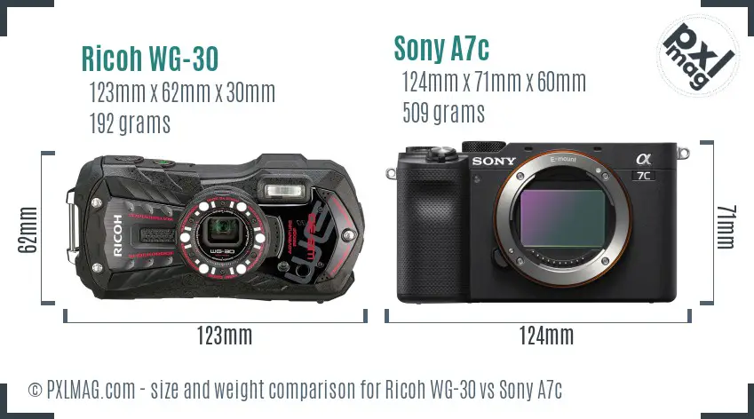 Ricoh WG-30 vs Sony A7c size comparison