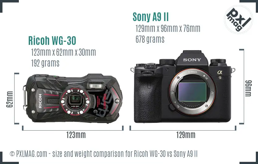 Ricoh WG-30 vs Sony A9 II size comparison