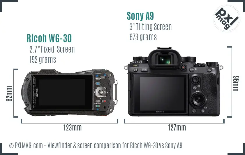 Ricoh WG-30 vs Sony A9 Screen and Viewfinder comparison