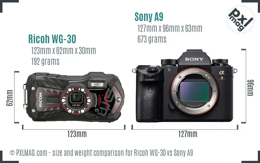 Ricoh WG-30 vs Sony A9 size comparison