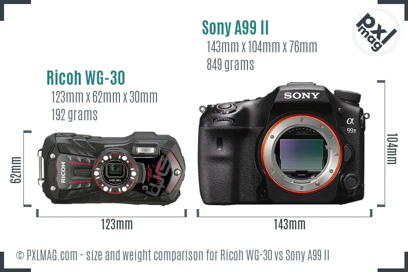 Ricoh WG-30 vs Sony A99 II size comparison