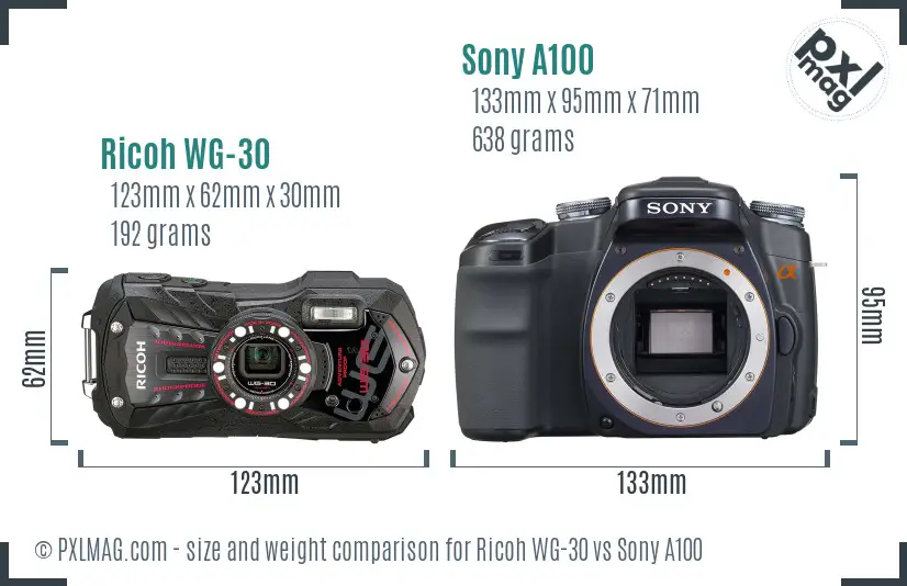 Ricoh WG-30 vs Sony A100 size comparison