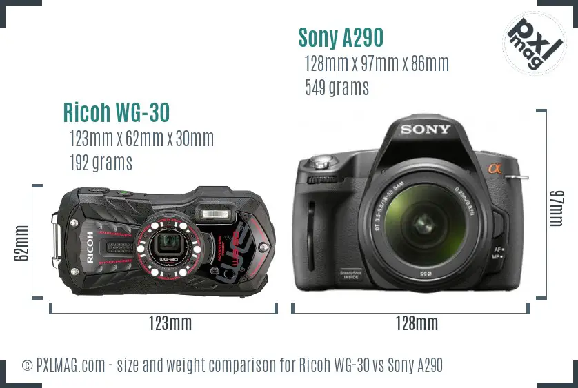 Ricoh WG-30 vs Sony A290 size comparison