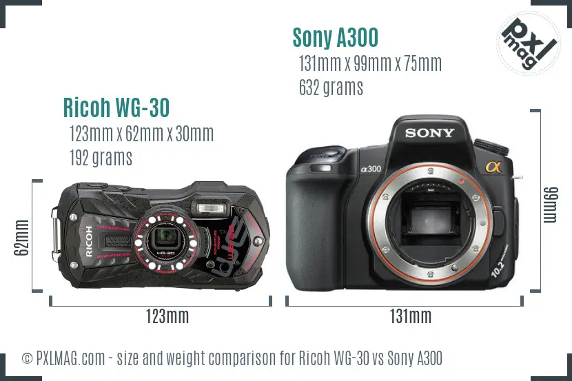 Ricoh WG-30 vs Sony A300 size comparison