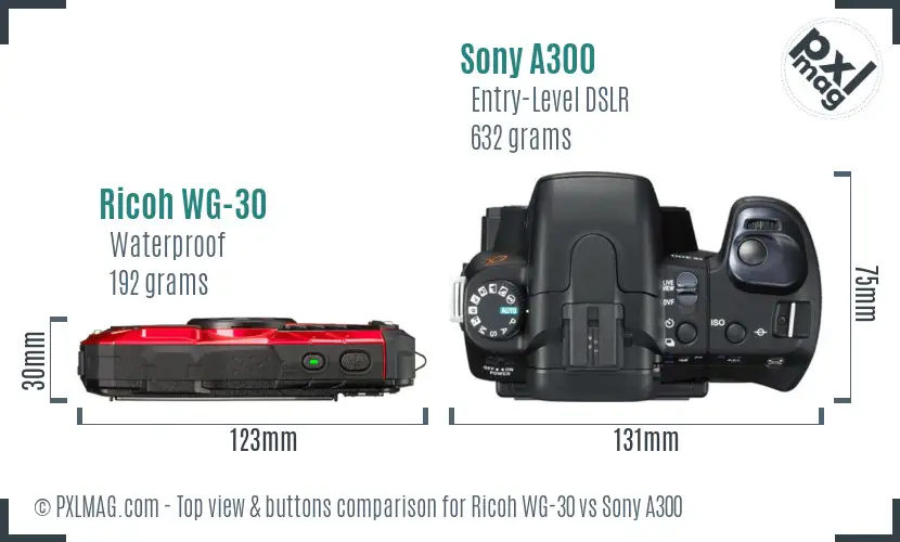 Ricoh WG-30 vs Sony A300 top view buttons comparison