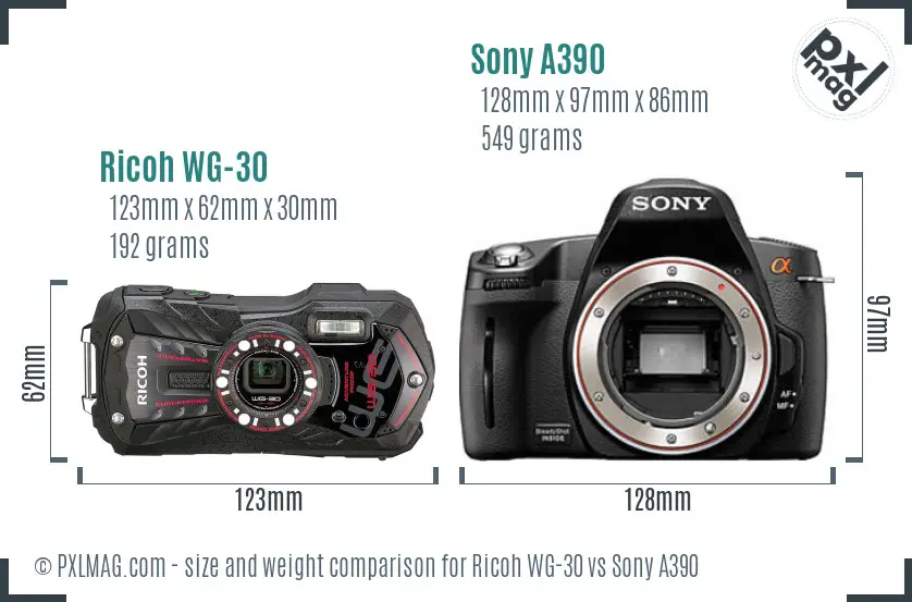 Ricoh WG-30 vs Sony A390 size comparison