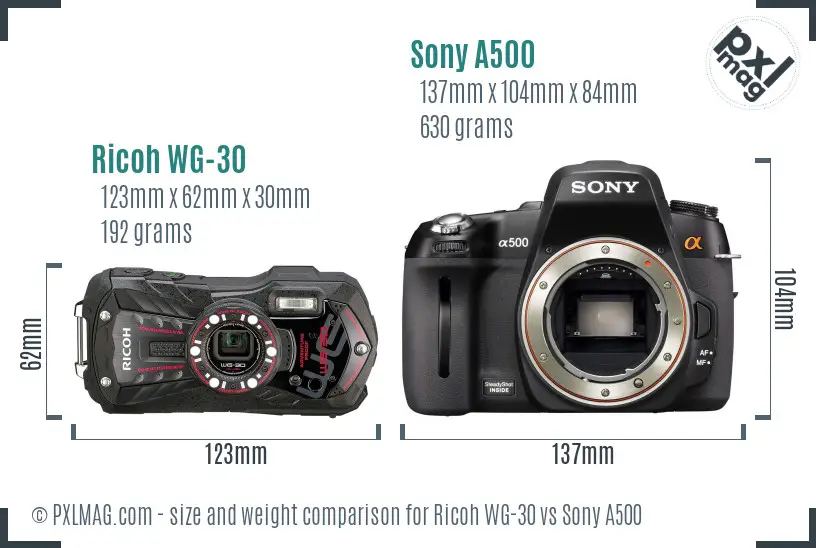 Ricoh WG-30 vs Sony A500 size comparison