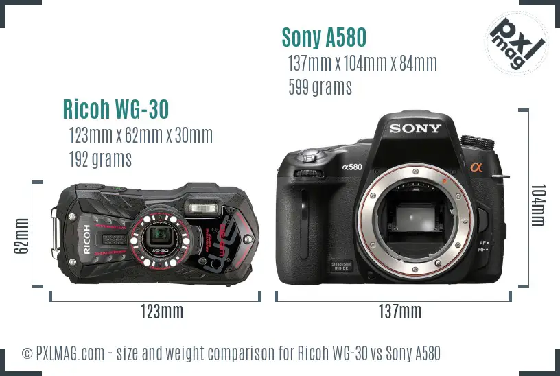 Ricoh WG-30 vs Sony A580 size comparison