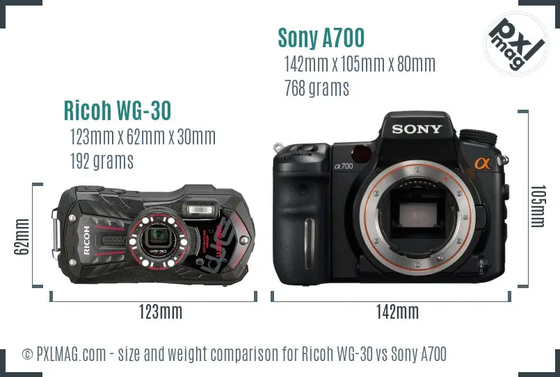 Ricoh WG-30 vs Sony A700 size comparison