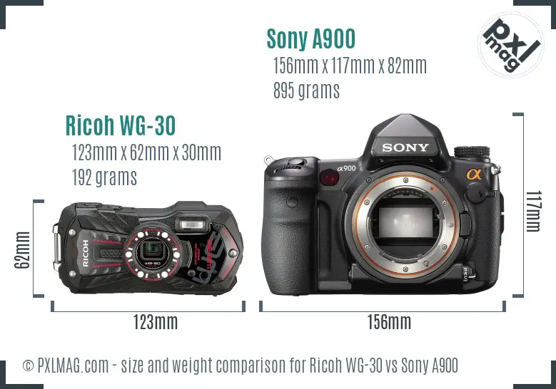 Ricoh WG-30 vs Sony A900 size comparison