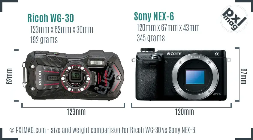 Ricoh WG-30 vs Sony NEX-6 size comparison