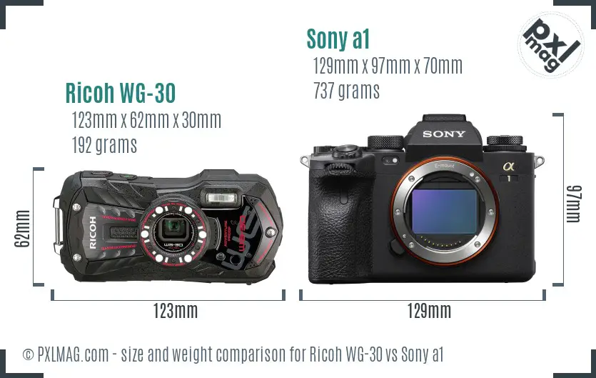 Ricoh WG-30 vs Sony a1 size comparison
