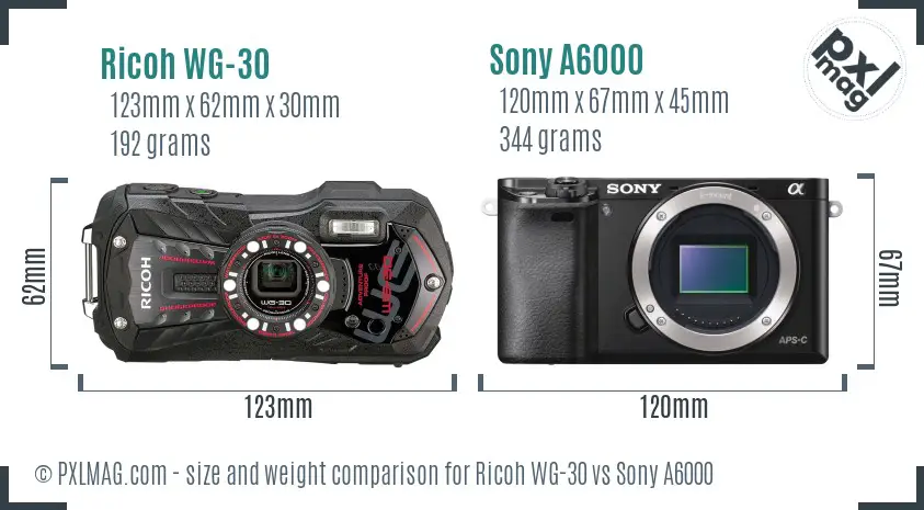 Ricoh WG-30 vs Sony A6000 size comparison