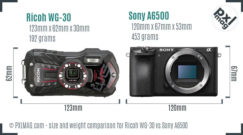 Ricoh WG-30 vs Sony A6500 size comparison