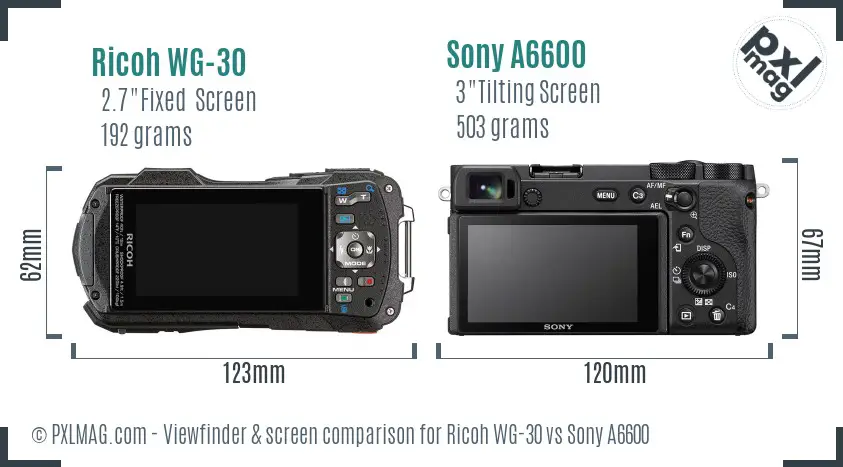 Ricoh WG-30 vs Sony A6600 Screen and Viewfinder comparison