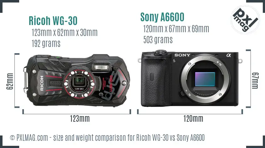 Ricoh WG-30 vs Sony A6600 size comparison