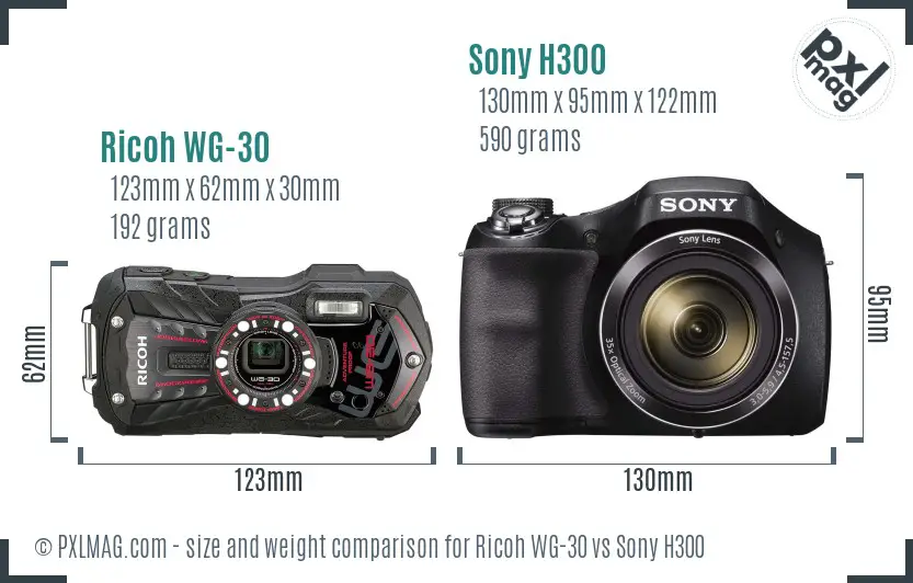 Ricoh WG-30 vs Sony H300 size comparison