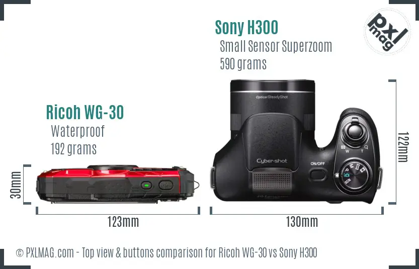 Ricoh WG-30 vs Sony H300 top view buttons comparison