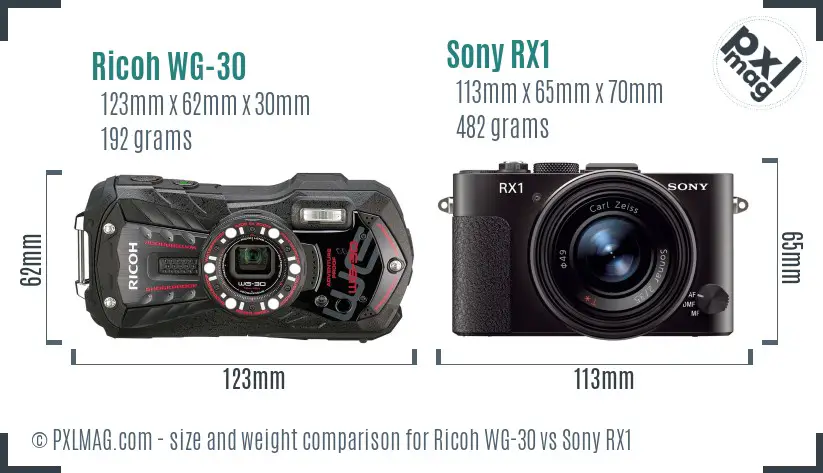 Ricoh WG-30 vs Sony RX1 size comparison Ricoh WG-30 vs Sony RX1 size comparison