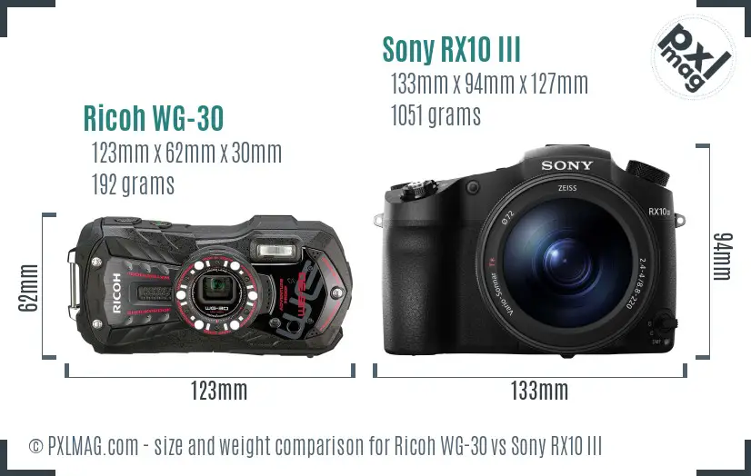 Ricoh WG-30 vs Sony RX10 III size comparison