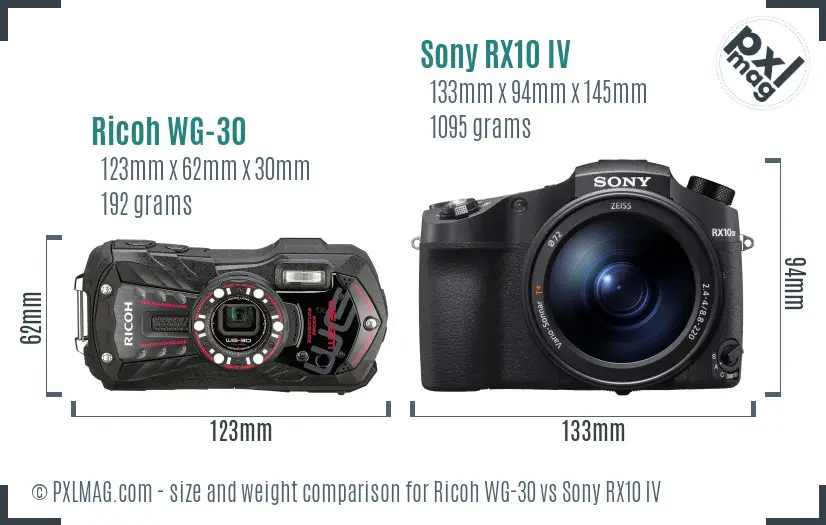 Ricoh WG-30 vs Sony RX10 IV size comparison