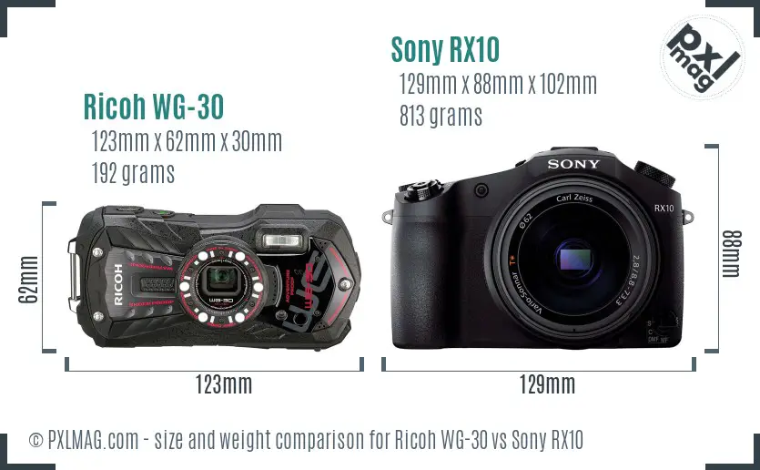 Ricoh WG-30 vs Sony RX10 size comparison