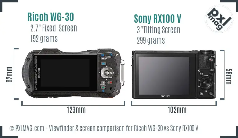 Ricoh WG-30 vs Sony RX100 V Screen and Viewfinder comparison