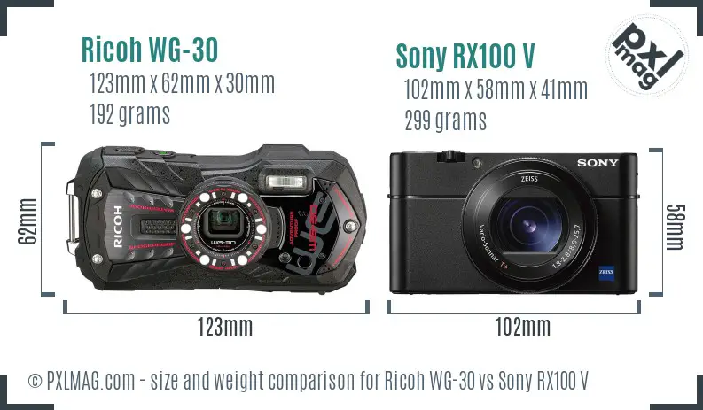 Ricoh WG-30 vs Sony RX100 V size comparison