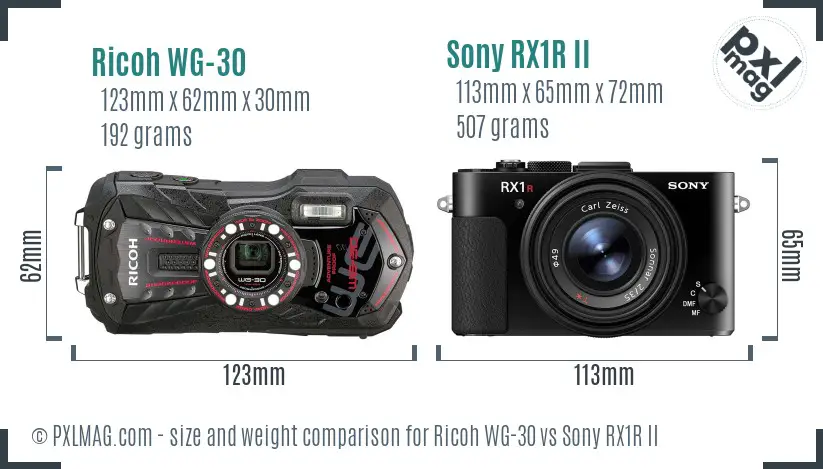 Ricoh WG-30 vs Sony RX1R II size comparison