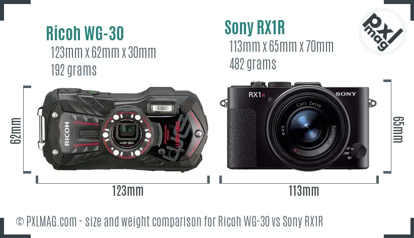Ricoh WG-30 vs Sony RX1R size comparison