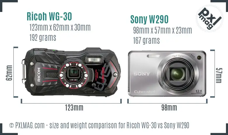 Ricoh WG-30 vs Sony W290 size comparison